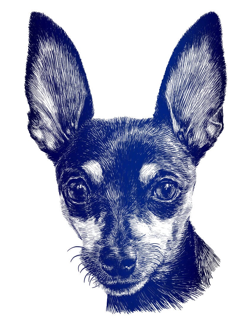 Portfolio of Custom Pet & People Portraits