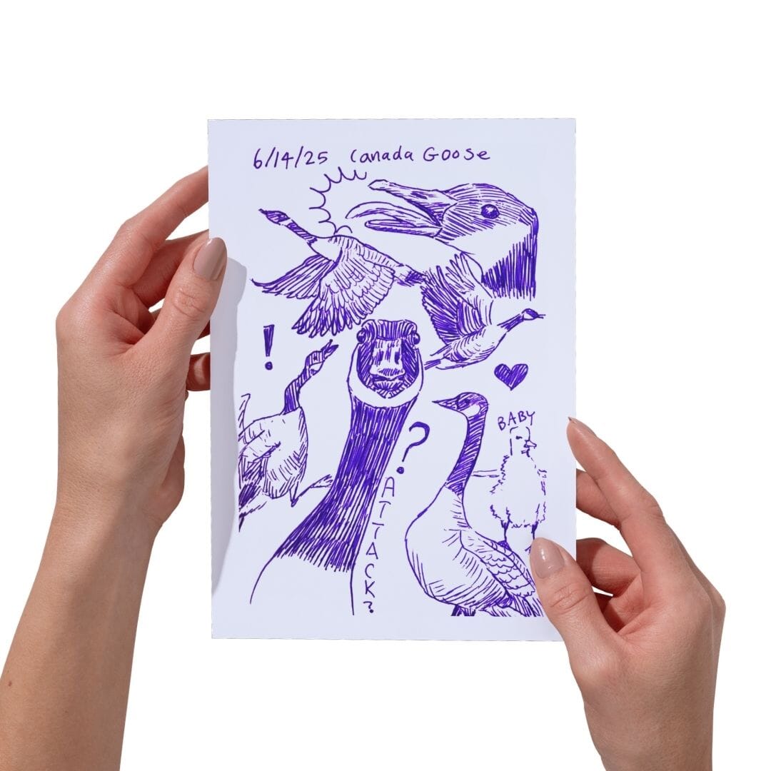 Detox Doodles Print - Canada Geese - 5x7 Hand-Drawn Illustration Posters, Prints, & Visual Artwork JoyousJoyfulJoyness 