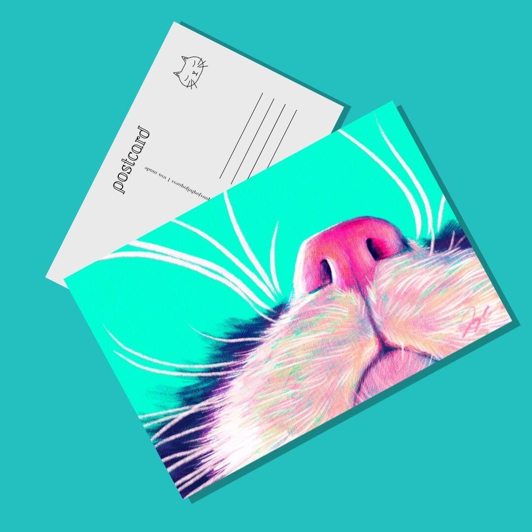 Close Encounters Collection - "Boop" Postcard - Postcard with a Cute Cat's Nose (Limited Quantities) Postcards JoyousJoyfulJoyness 