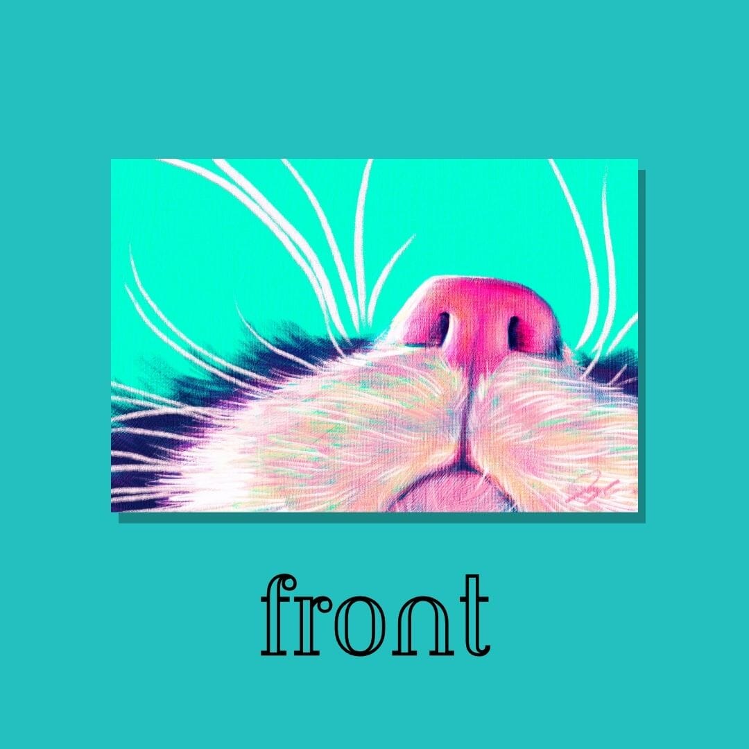 Close Encounters Collection - "Boop" Postcard - Postcard with a Cute Cat's Nose (Limited Quantities) Postcards JoyousJoyfulJoyness 