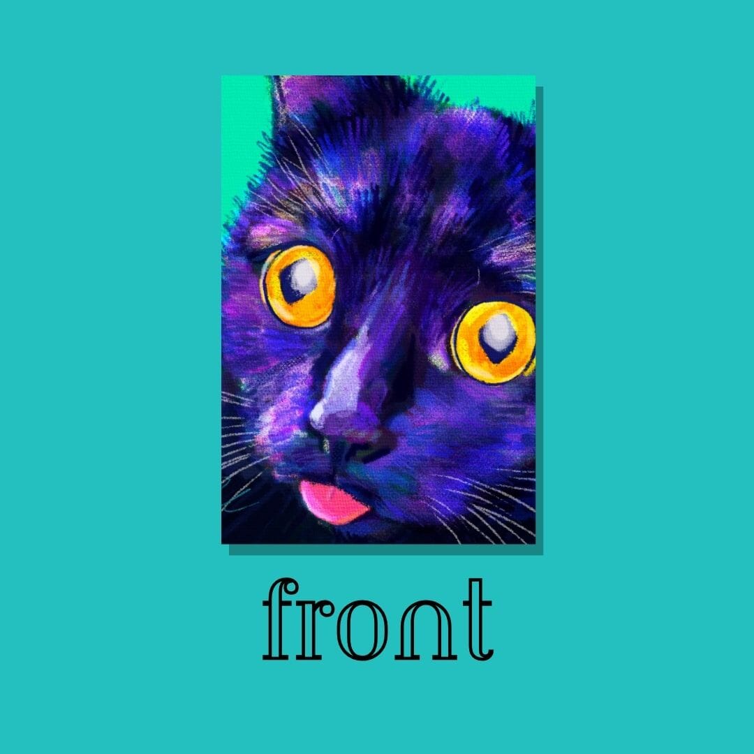 Close Encounters Collection - "Cat-atonic" Postcard - Postcard with a Funny Black Cat's Face (Limited Quantities) Postcards JoyousJoyfulJoyness 