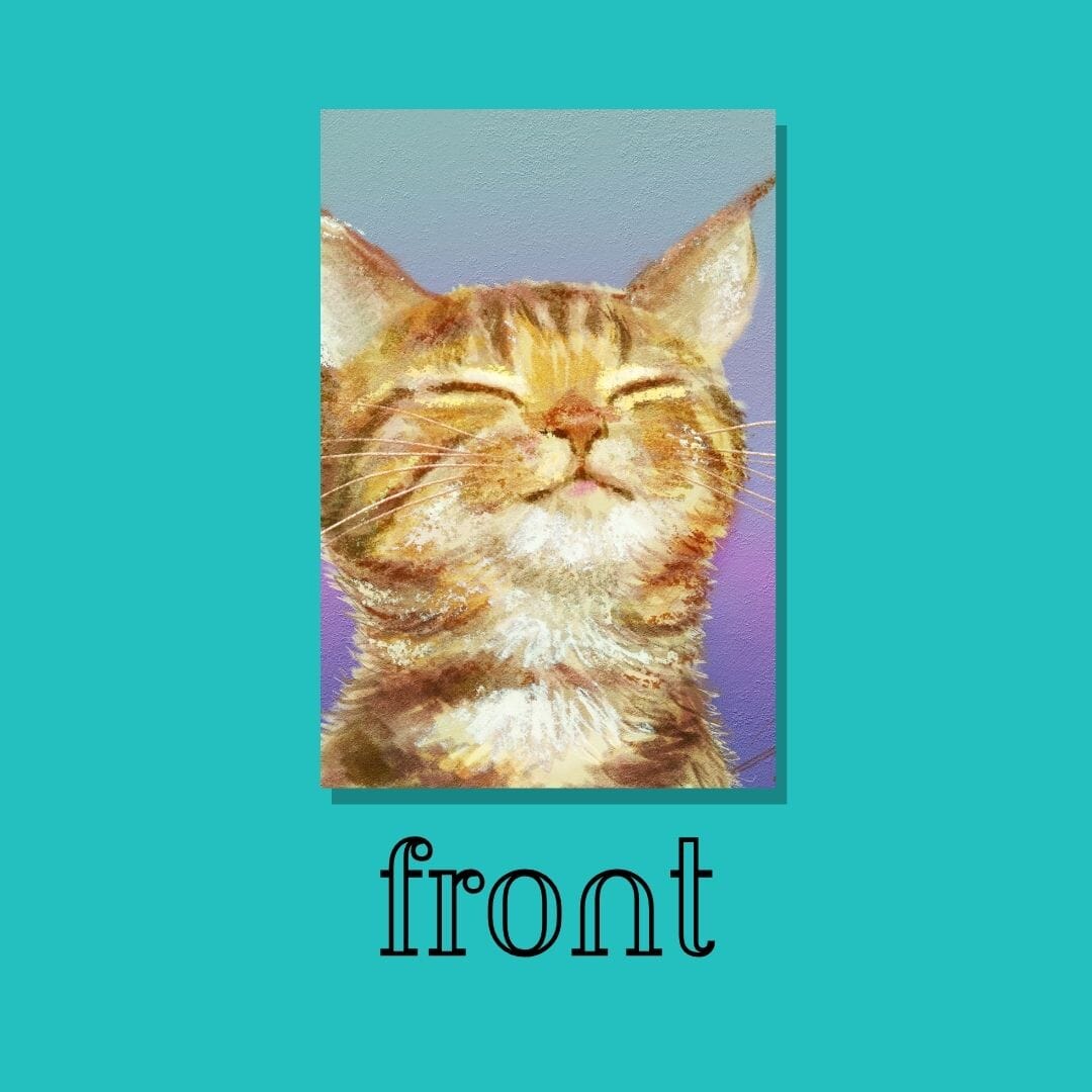 Content Kitty Postcard - Postcard with a Very Content Ginger Cat (Limited Quantities) Postcards JoyousJoyfulJoyness 