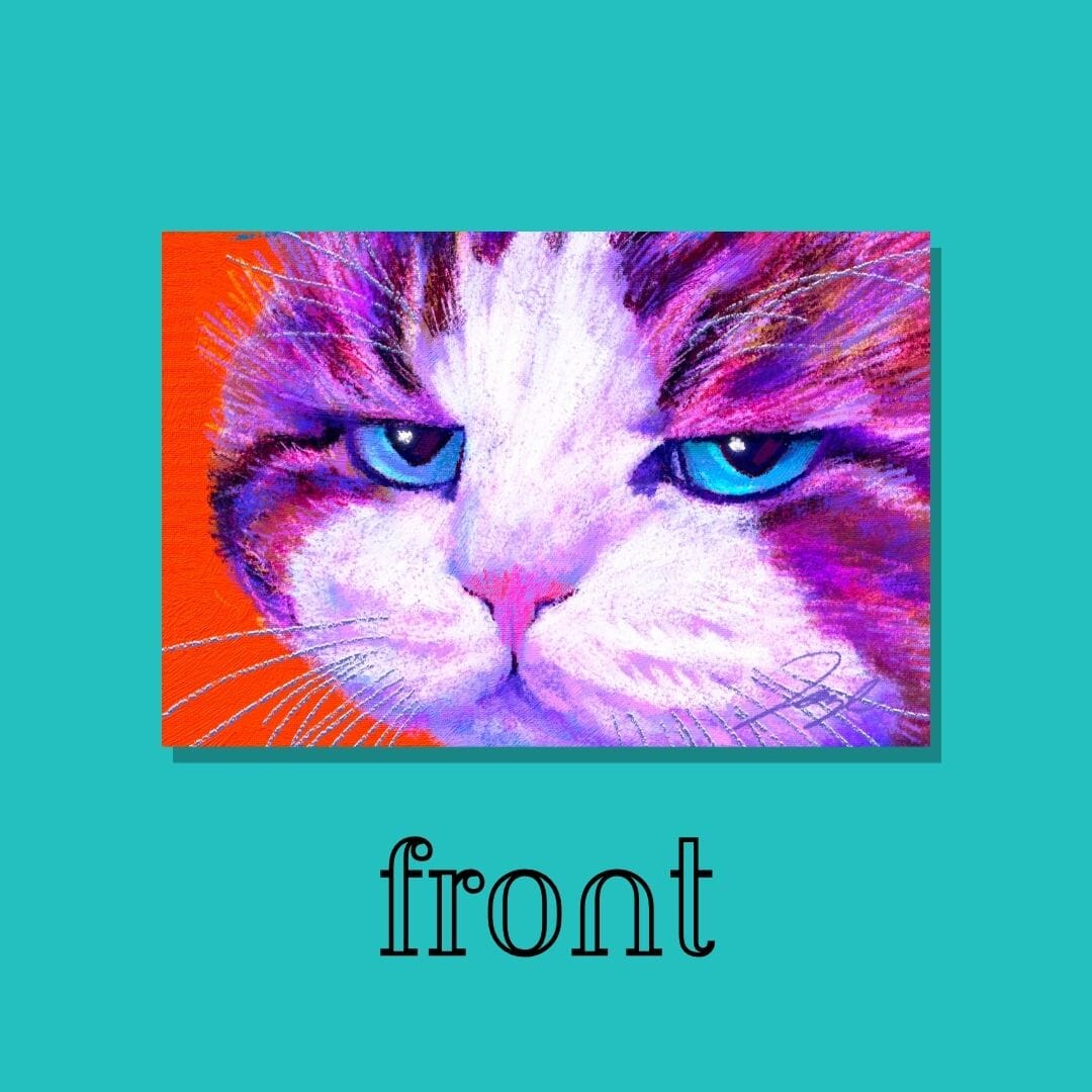 Close Encounters Collection - "Disappoint" Postcard - Postcard with a Funny Disappointed Cat (Limited Quantities) Postcards JoyousJoyfulJoyness 
