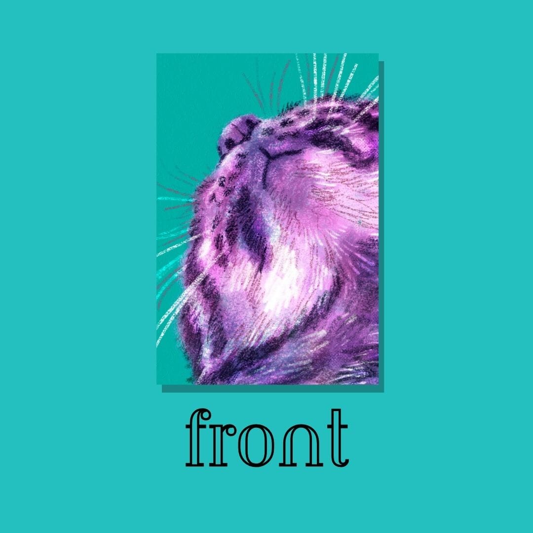 Close Encounters Collection - "Double Chin" Postcard - Postcard with a Cute View of a Cat's Chin (Limited Quantities) Postcards JoyousJoyfulJoyness 