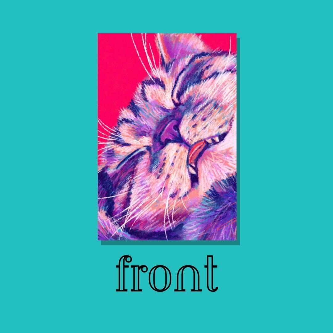 Close Encounters Collection - "Eepy" Postcard - Postcard with a Cute Sleepy Cat (Limited Quantities) Postcards JoyousJoyfulJoyness 