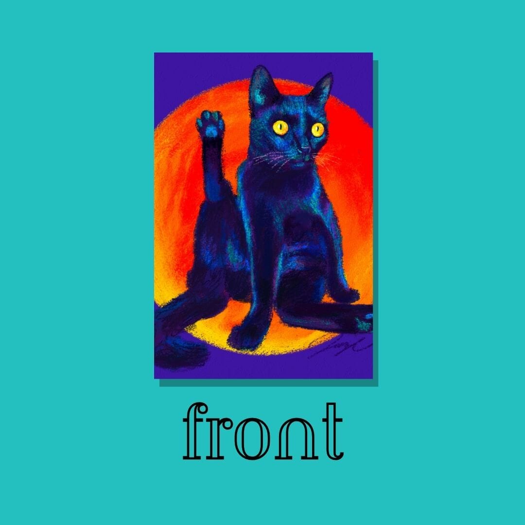 Feline Flows and Poses Collection - "Excuse Me" Postcard - Postcard with a Black Cat Holding its Leg Up (Limited Quantities) Postcards JoyousJoyfulJoyness 