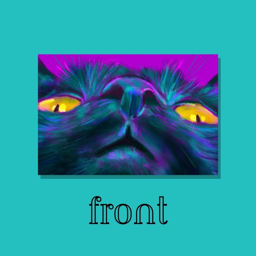 Close Encounters Collection - "Golden Eyes" Postcard - Postcard with a Black Cat Looking Down (Limited Quantities) Postcards JoyousJoyfulJoyness 