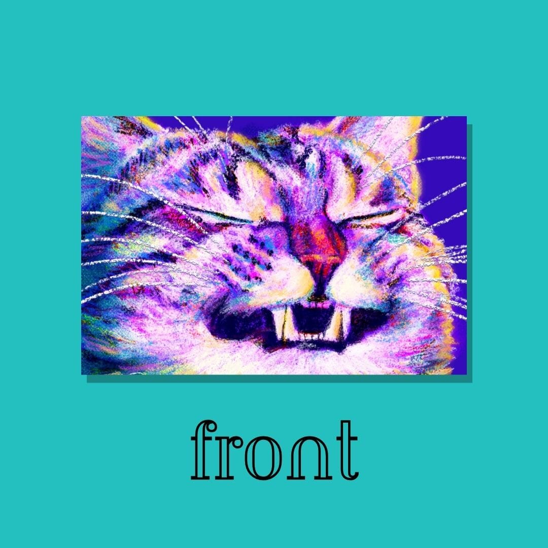 Close Encounters Collection - "Grin" Postcard - Postcard with a Funny Grinning Cat (Limited Quantities) Postcards JoyousJoyfulJoyness 