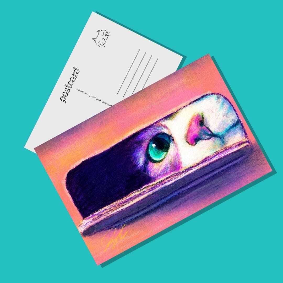 Close Encounters Collection - "I Sits" Postcard - Postcard with a Cute Cat Sitting in a Box (Limited Quantities) Postcards JoyousJoyfulJoyness 