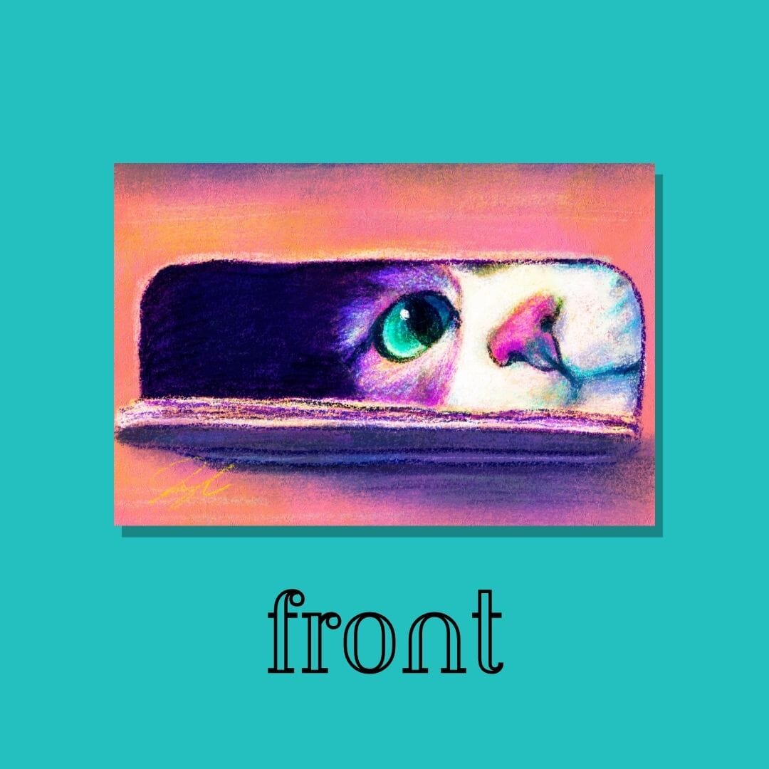 Close Encounters Collection - "I Sits" Postcard - Postcard with a Cute Cat Sitting in a Box (Limited Quantities) Postcards JoyousJoyfulJoyness 