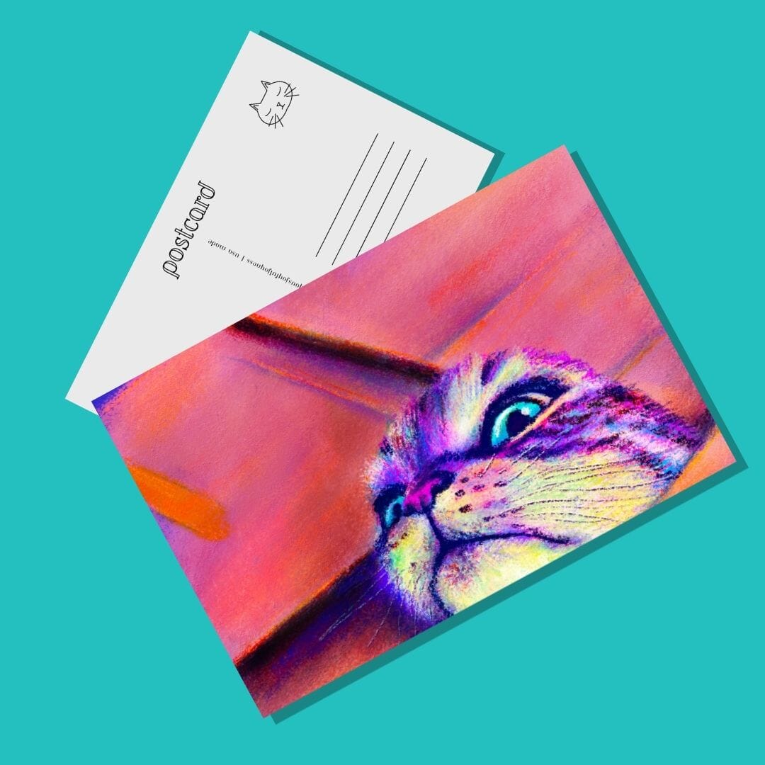 Close Encounters Collection - "If I Fits" Postcard - Postcard with a Funny Cat Squeezing Out of a Box (Limited Quantities) Postcards JoyousJoyfulJoyness 