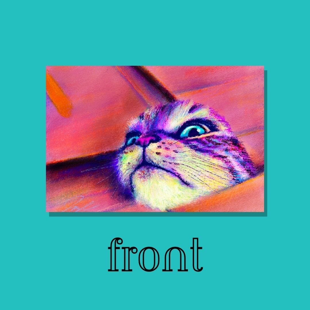 Close Encounters Collection - "If I Fits" Postcard - Postcard with a Funny Cat Squeezing Out of a Box (Limited Quantities) Postcards JoyousJoyfulJoyness 