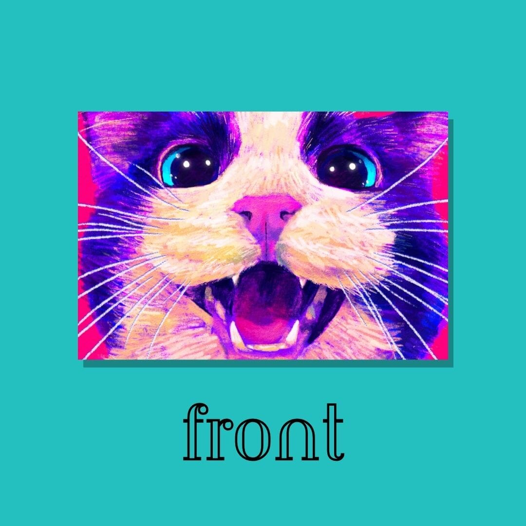 Close Encounters Collection - "Meow" Postcard - Postcard with a Cute Meowing Tuxedo Cat (Limited Quantities) Postcards JoyousJoyfulJoyness 
