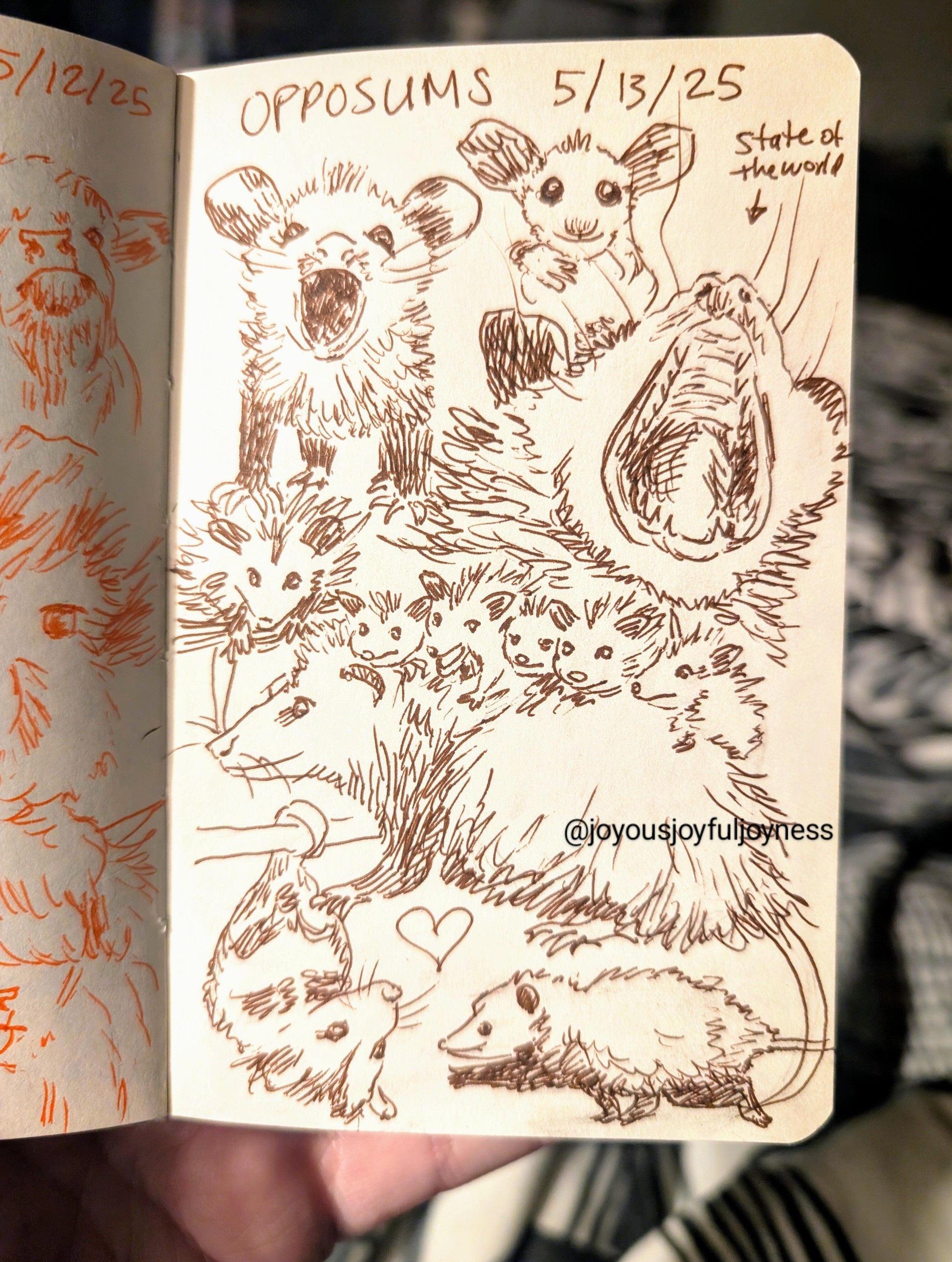 Detox Doodles Print - Opossums - 5x7 Hand-Drawn Illustration Posters, Prints, & Visual Artwork JoyousJoyfulJoyness 