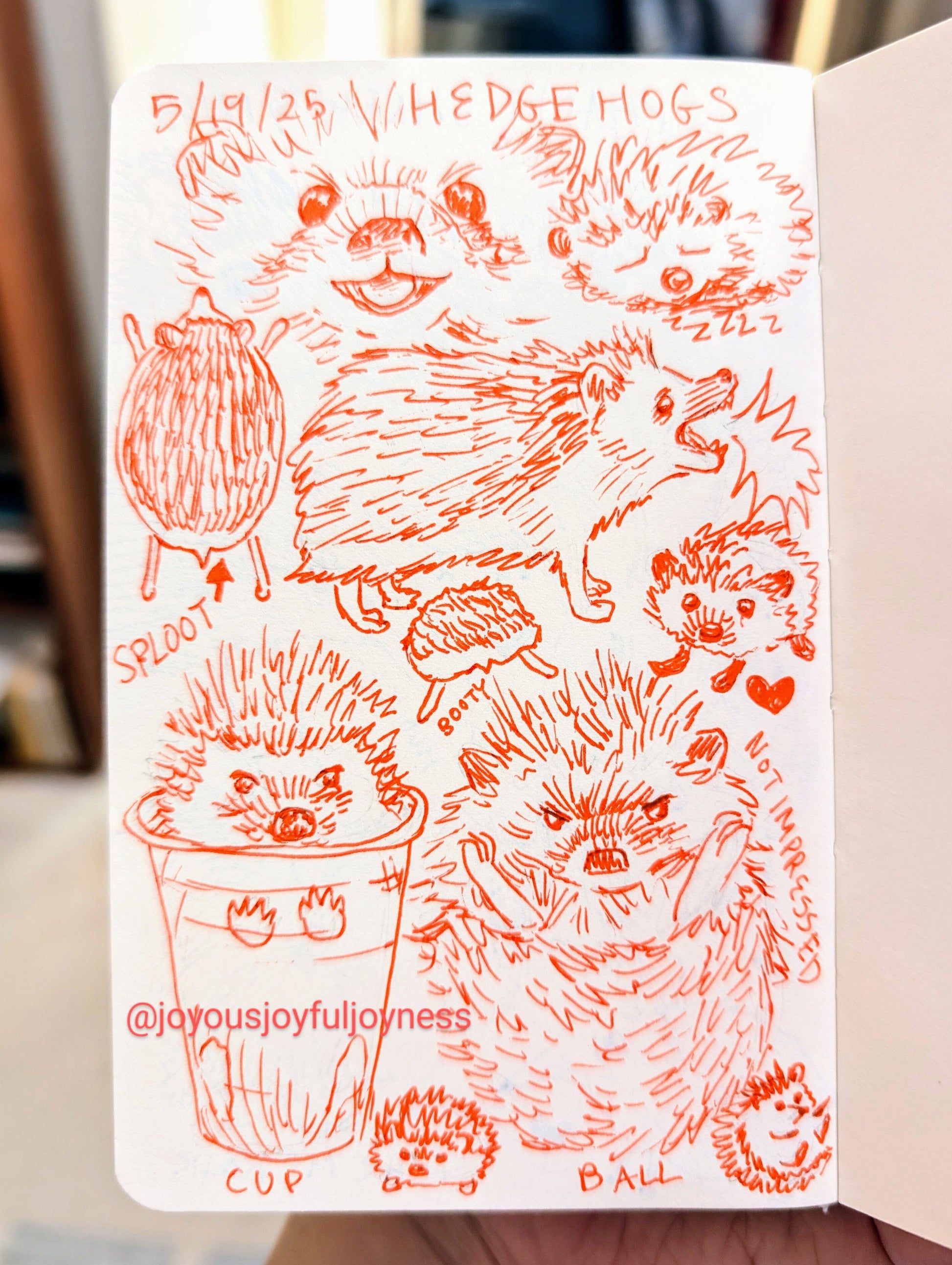 Detox Doodles Print - Hedgehogs - 5x7 Hand-Drawn Illustration Posters, Prints, & Visual Artwork JoyousJoyfulJoyness 