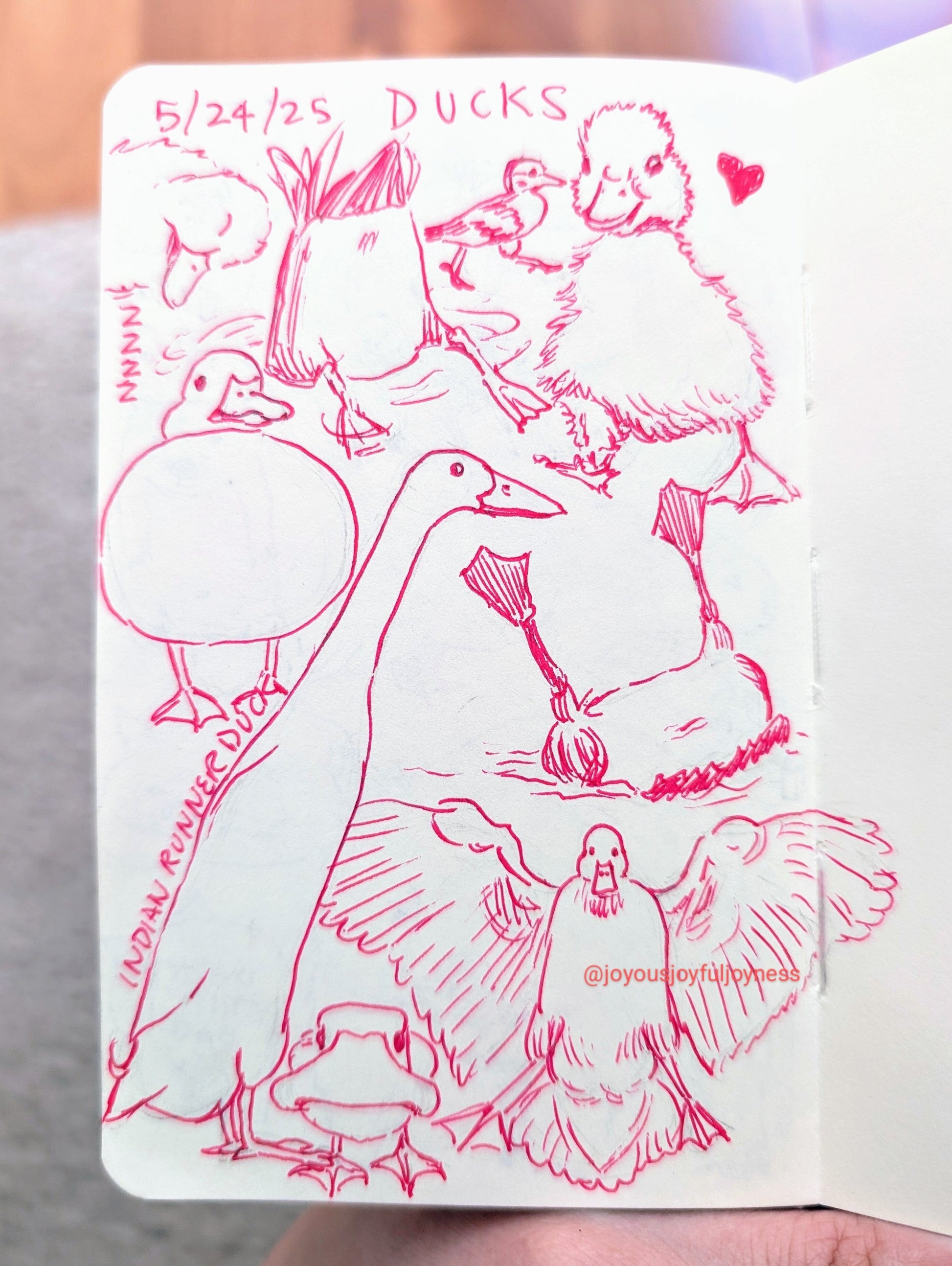 Detox Doodles Print - Ducks - 5x7 Hand-Drawn Illustration Posters, Prints, & Visual Artwork JoyousJoyfulJoyness 