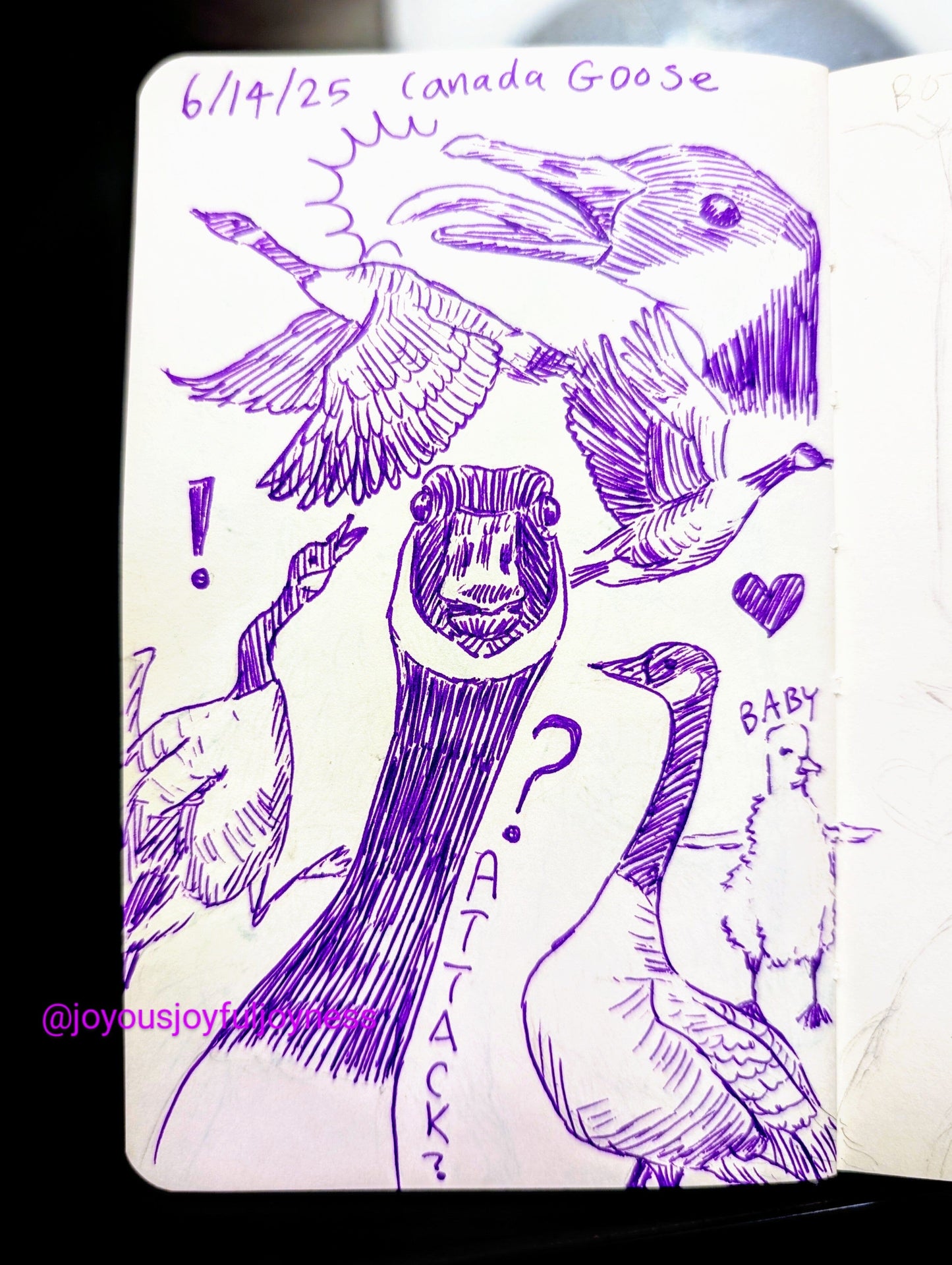 Detox Doodles Print - Canada Geese - 5x7 Hand-Drawn Illustration Posters, Prints, & Visual Artwork JoyousJoyfulJoyness 
