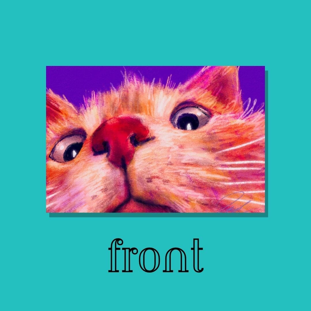 Close Encounters Collection - "Peekaboo" Postcard - Postcard with an Orange Cat Peeking (Limited Quantities) Postcards JoyousJoyfulJoyness 