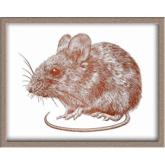 Rat/Mouse Foiled Print Posters, Prints, & Visual Artwork JoyousJoyfulJoyness 