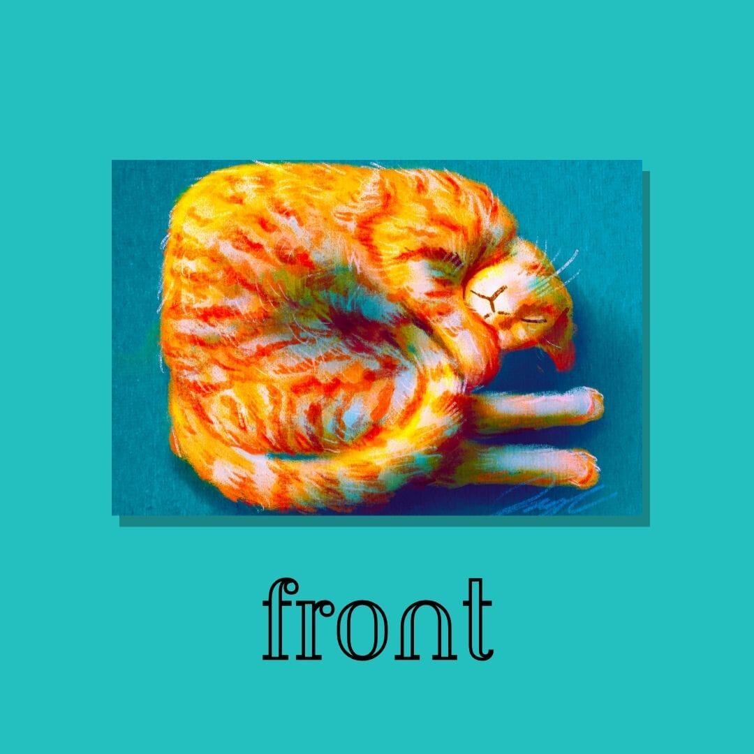 Shrimp Cat Postcard - Postcard with an Orange Cat Curled Like a Shrimp (Limited Quantities) Postcards JoyousJoyfulJoyness 