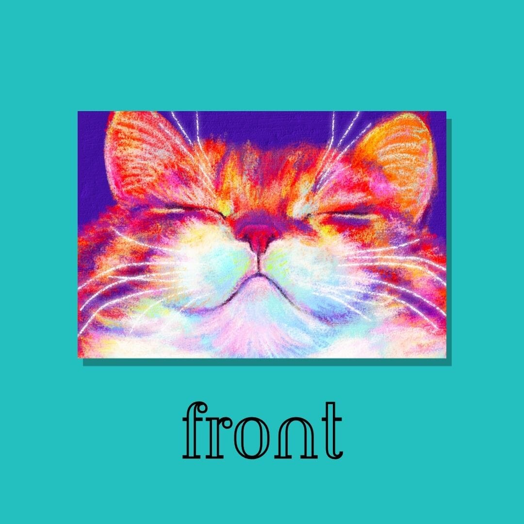 Close Encounters Collection - "Smug" Postcard - Postcard with an Orange Cat with a Smug Face (Limited Quantities) Postcards JoyousJoyfulJoyness 