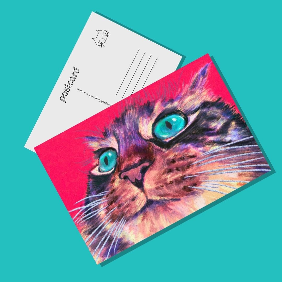 Close Encounters Collection - "Teal Eyes" Postcard | Postcard with a Funny Cat with Teal Eyes Postcards JoyousJoyfulJoyness 