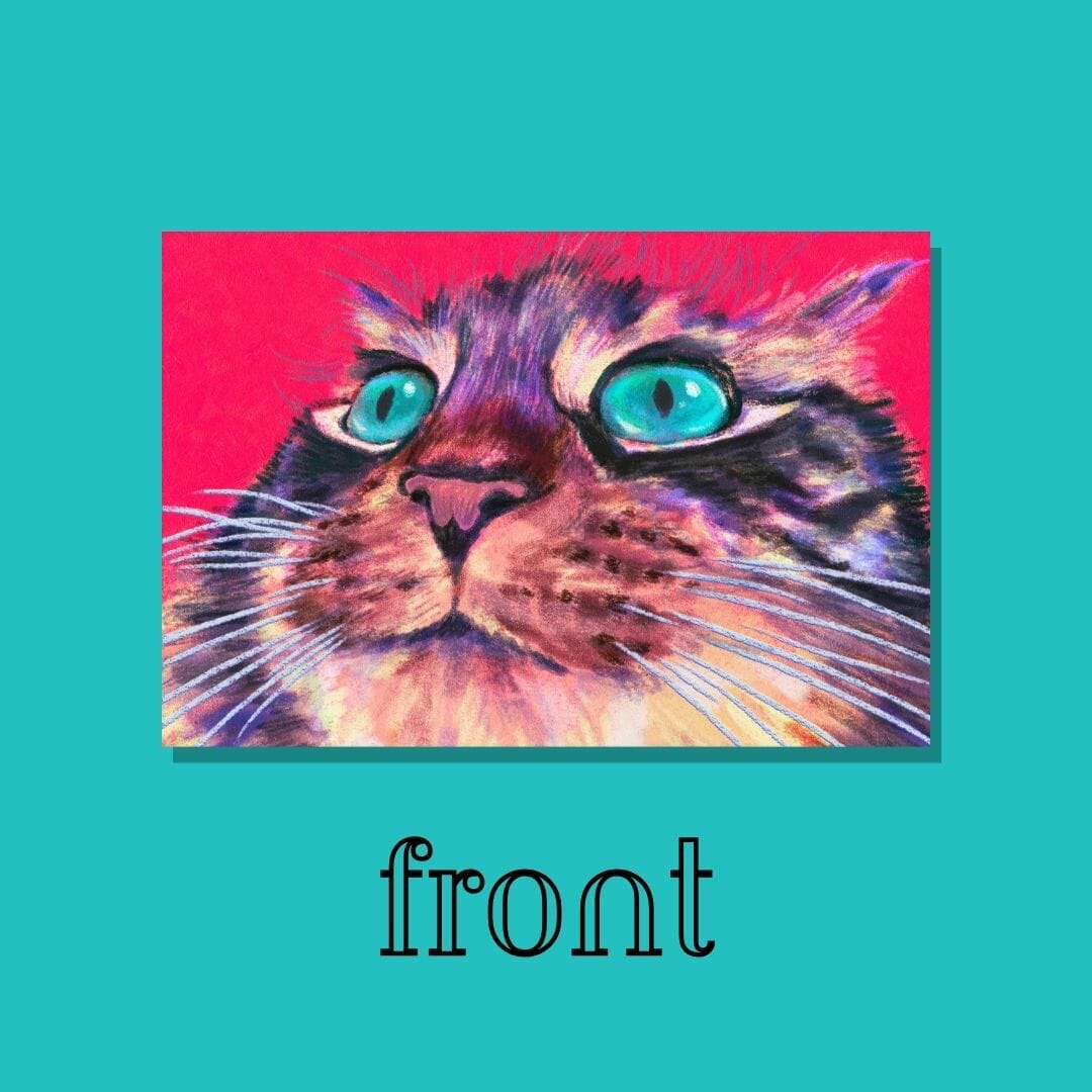 Close Encounters Collection - "Teal Eyes" Postcard | Postcard with a Funny Cat with Teal Eyes Postcards JoyousJoyfulJoyness 