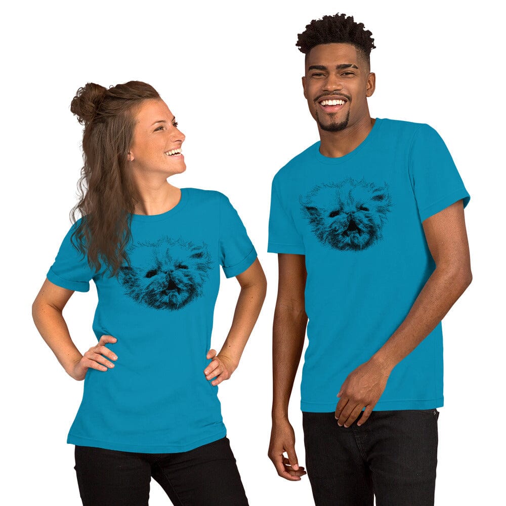 Angry Wisp T-Shirt [Unfoiled] (All net proceeds go to Rags to Riches Animal Rescue, Inc.) JoyousJoyfulJoyness Aqua S 