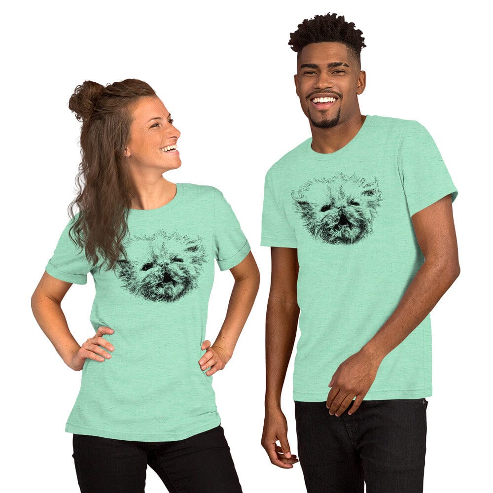 Angry Wisp T-Shirt [Unfoiled] (All net proceeds go to Rags to Riches Animal Rescue, Inc.) JoyousJoyfulJoyness Heather Mint S 