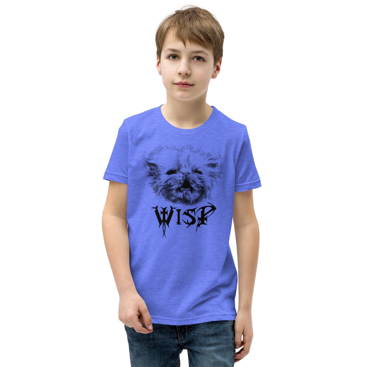 Metal Wisp YOUTH T-Shirt [Unfoiled] (All net proceeds go to Rags to Riches Animal Rescue) JoyousJoyfulJoyness Heather Columbia Blue S 