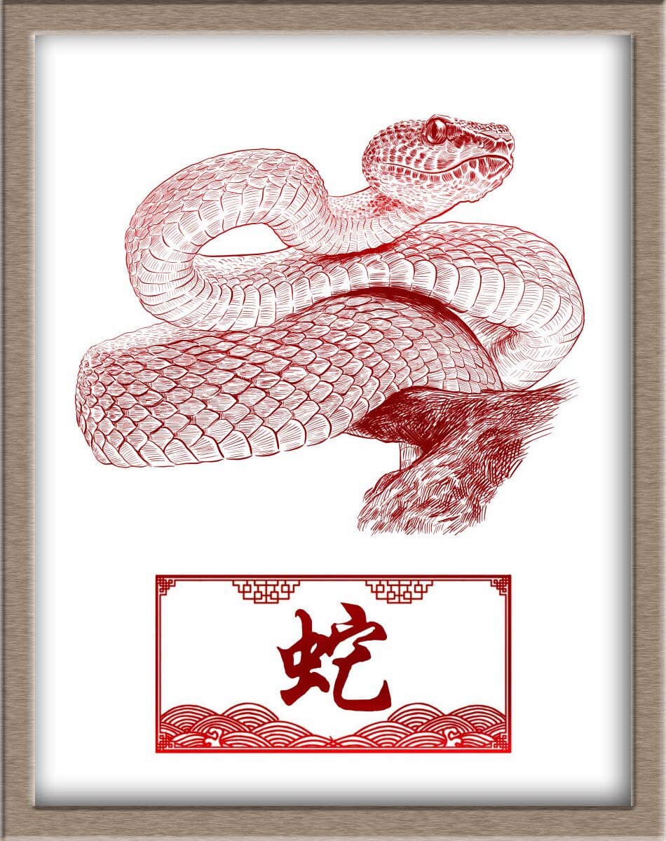 Chinese Zodiac Snake Portraits Posters, Prints, & Visual Artwork JoyousJoyfulJoyness 