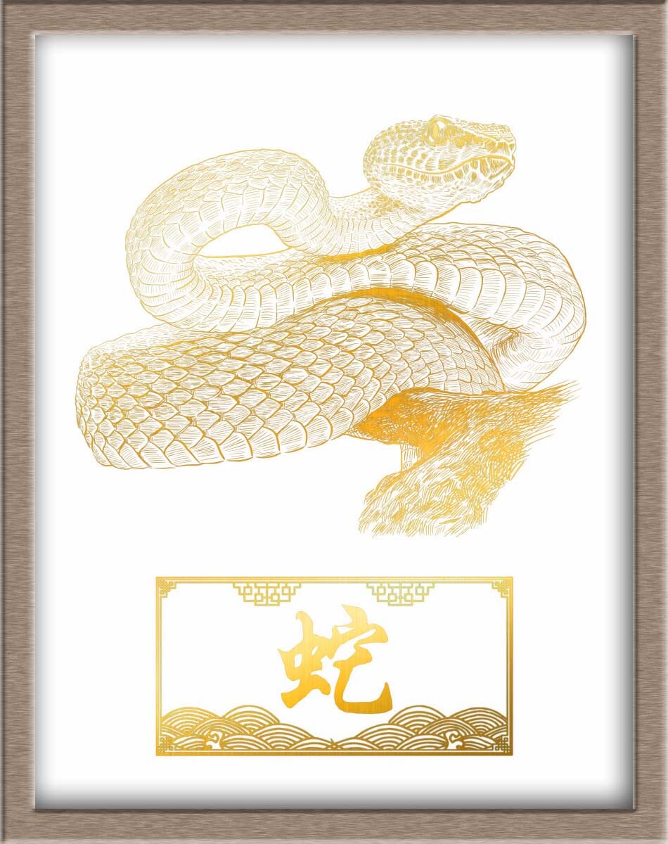 Chinese Zodiac Snake Portraits Posters, Prints, & Visual Artwork JoyousJoyfulJoyness 