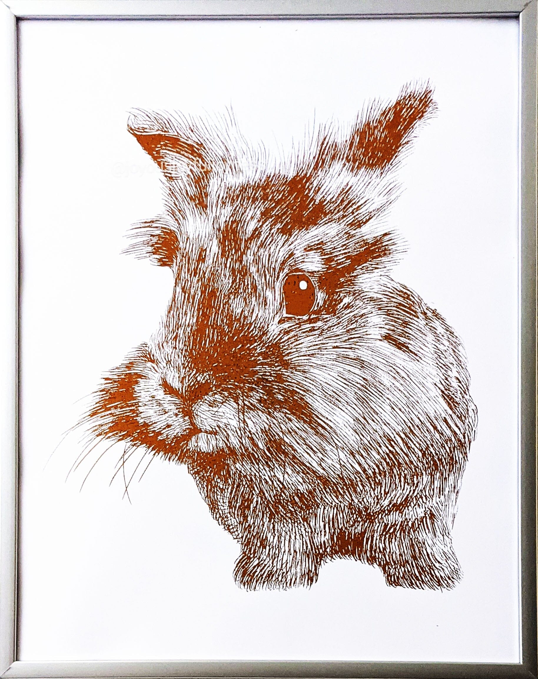 Portfolio: Chewie (Not for sale) Posters, Prints, & Visual Artwork JoyousJoyfulJoyness 