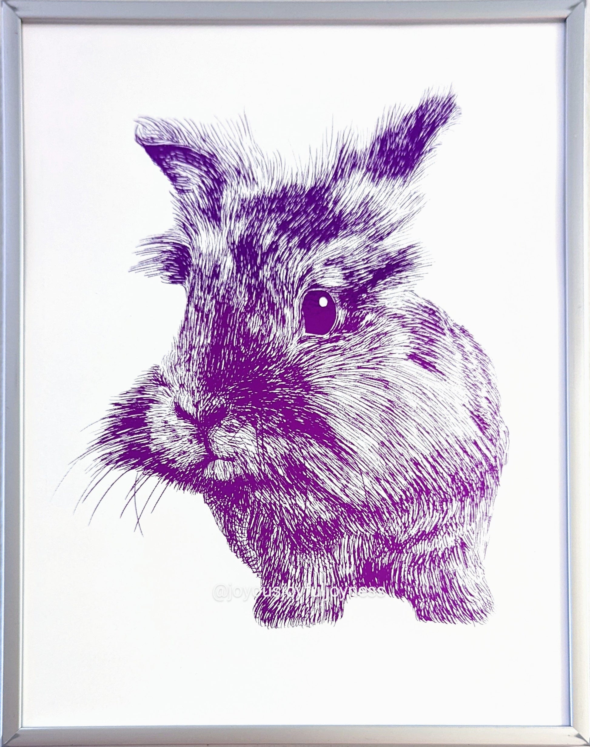 Portfolio: Chewie (Not for sale) Posters, Prints, & Visual Artwork JoyousJoyfulJoyness 