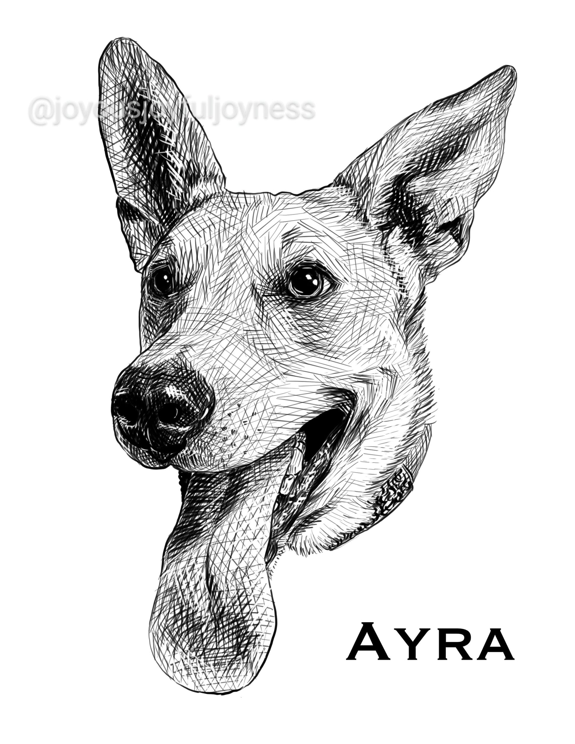 Portfolio: Ayra (Not for sale) Posters, Prints, & Visual Artwork JoyousJoyfulJoyness 