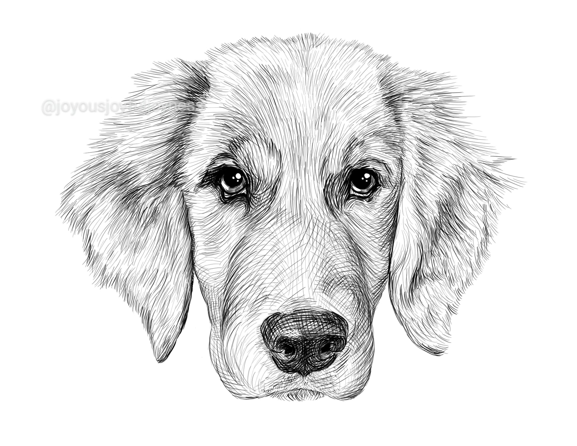 Portfolio: Aspen (Not for sale) Posters, Prints, & Visual Artwork JoyousJoyfulJoyness 