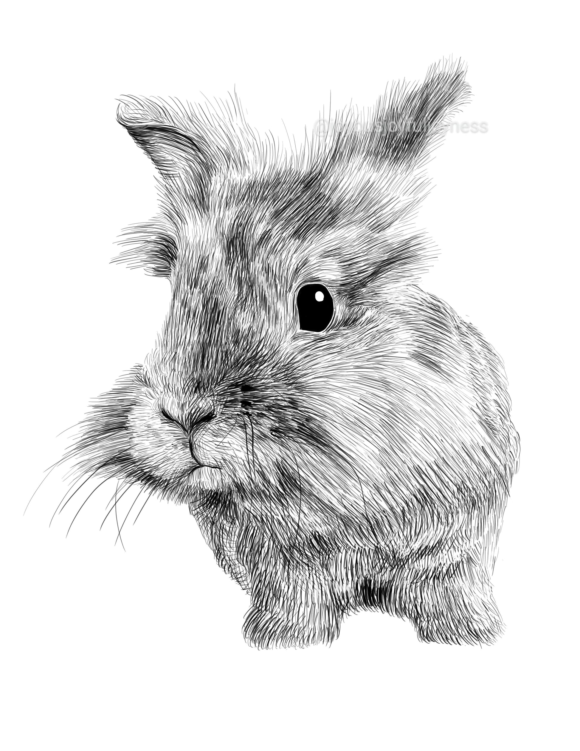 Portfolio: Chewie (Not for sale) Posters, Prints, & Visual Artwork JoyousJoyfulJoyness 