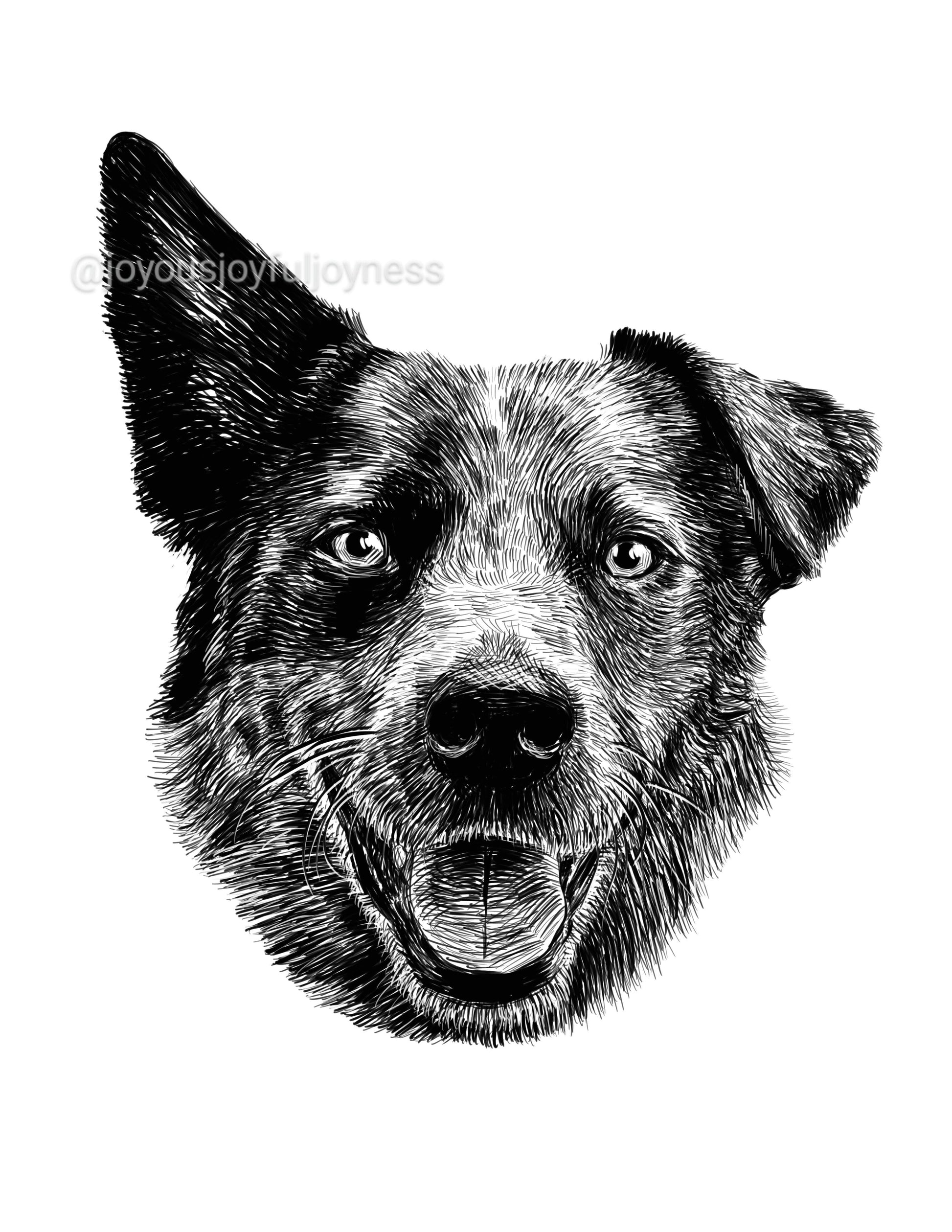 Portfolio: Luna (cattle dog) (Not for sale) Posters, Prints, & Visual Artwork JoyousJoyfulJoyness 