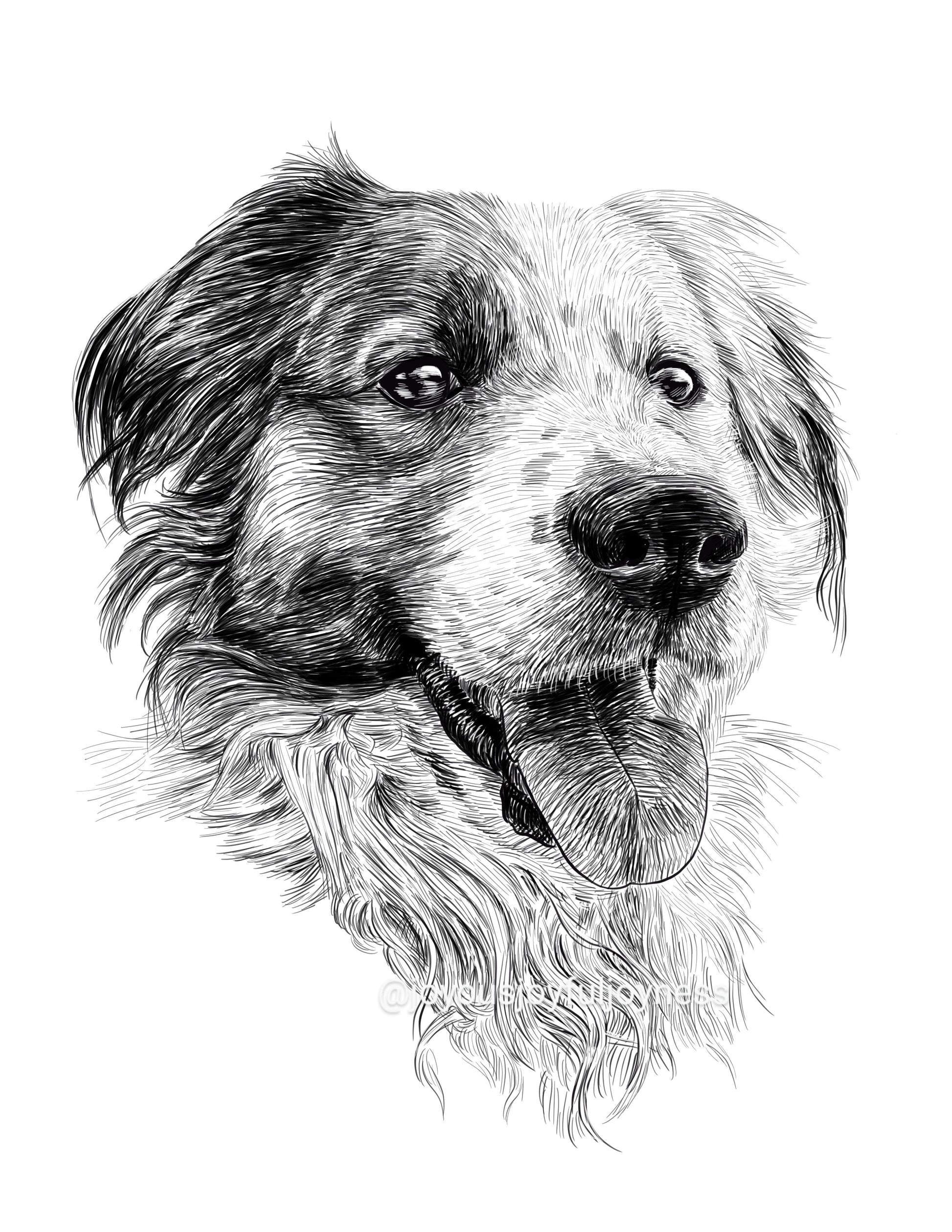 Portfolio: Chip (Not for sale) Posters, Prints, & Visual Artwork JoyousJoyfulJoyness 