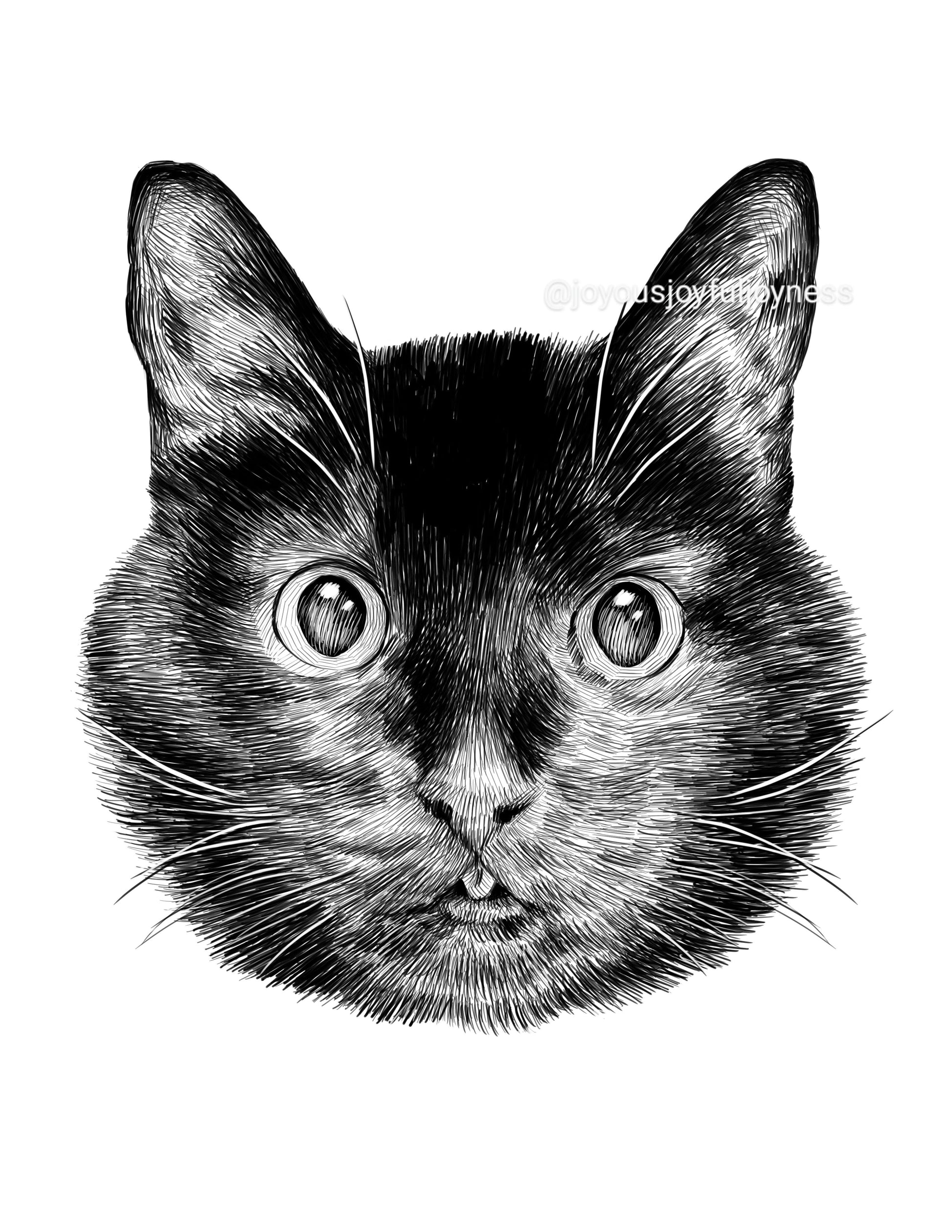 Portfolio: Doodle (Not for sale) Posters, Prints, & Visual Artwork JoyousJoyfulJoyness 